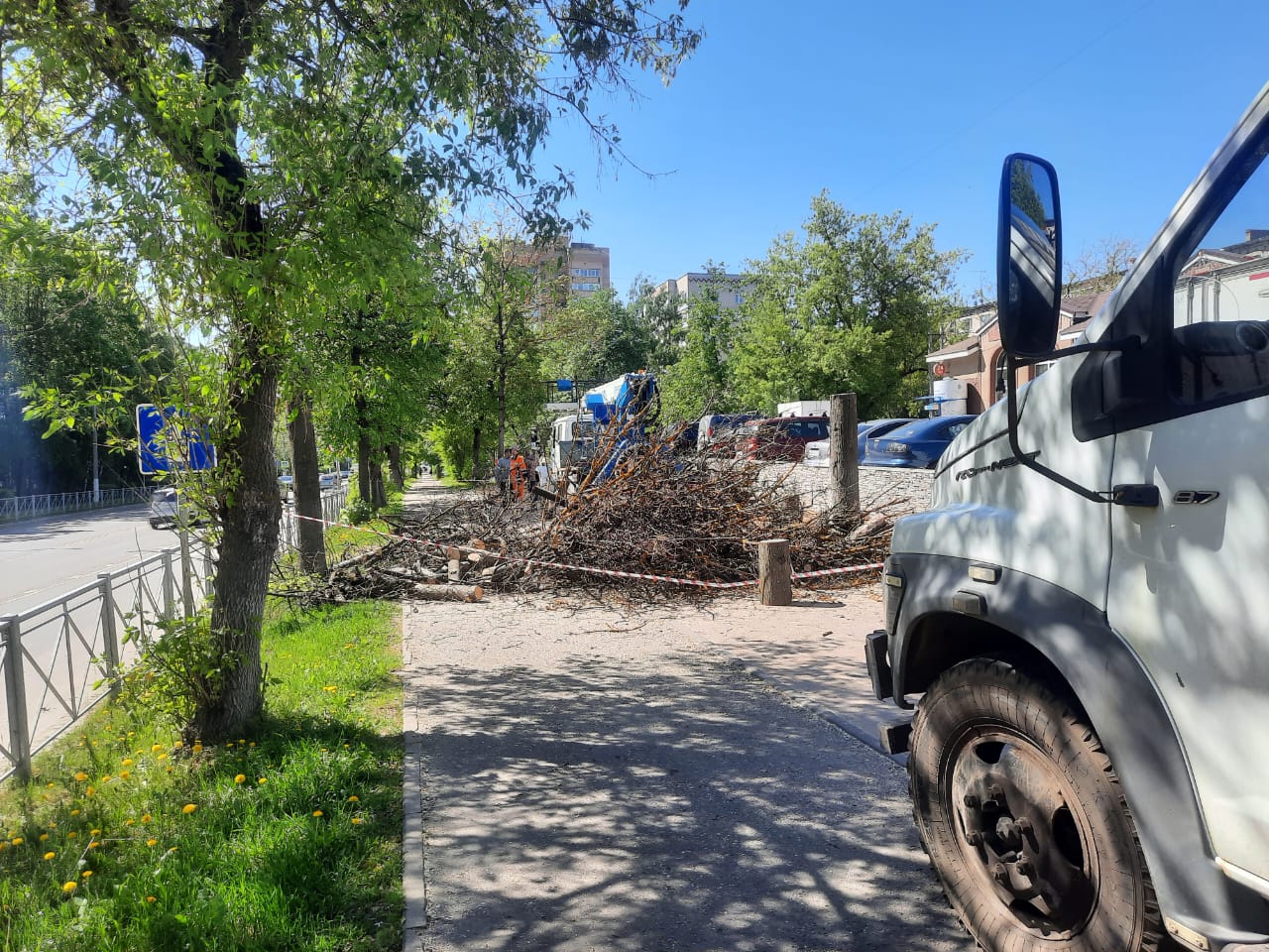 На центральной улице Истры пилят деревья | 23.05.2024 | Истра - БезФормата